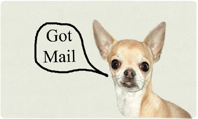 Bacova Got Mail Mailbox