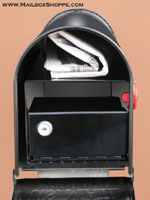 Locking Mailbox Insert