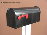 Locking Mailbox Insert